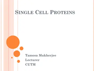 Alternative Sources of Food and Single-Cell Proteins
