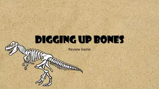 Fun Bones Review Game for Students