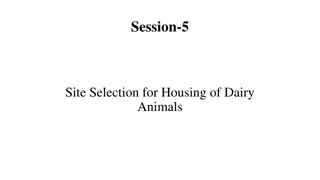 Essential Considerations for Selecting Dairy Animal Housing Site