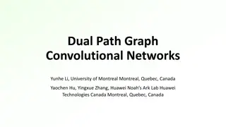 Dual Path Graph Convolutional Networks Overview
