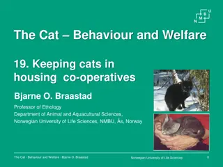 Keeping Cats in Housing Co-operatives: Rules and Welfare Considerations