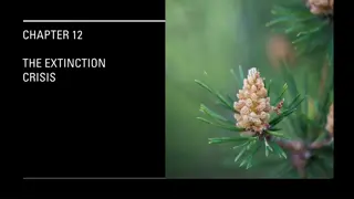 Understanding the Extinction Crisis and Biodiversity Loss Today