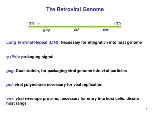 Retroviral Genome Components and Vector Design Explained