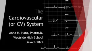 Understanding the Cardiovascular System: Functions and Anatomy