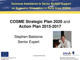 Rural Economic Stimulation through COSME Strategic Plan