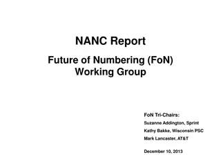 Future of Numbering Working Group Overview