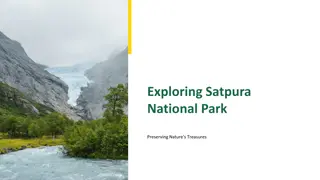 Discover the Wonders of Satpura National Park - A Wildlife Sanctuary
