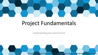 Understanding Project Fundamentals: Phases, Functions, and Structure