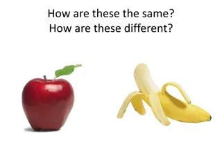 How Are These the Same but Different Pictures Collection