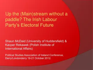 Labour Party's Electoral Future: Analyzing Irish Politics