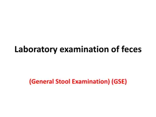 Essential Guidelines for Stool Sample Collection and Examination