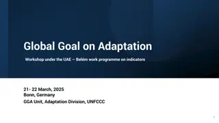 Enhancing Collaboration for Global Adaptation Goals