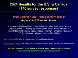 Weed Survey Results for U.S. & Canada: Common and Troublesome Weeds in Aquatic and Non-crop Areas