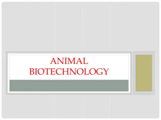 Advancing Animal Biotechnology: Techniques and Applications