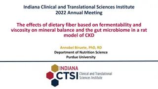 Dietary Fiber Impact on Mineral Balance in CKD Rat Model