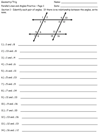 Geometry Trig Parallel Lines and Angles Practice Pages