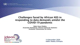 Challenges Faced by African National Statistical Systems Amidst COVID-19
