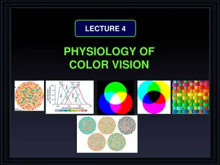 Understanding Color Vision: Physiology & Theory Overview