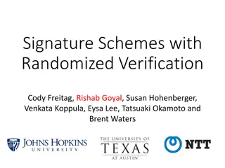 Randomized Verification in Signature Schemes and Identity-Based Encryption