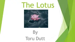 The Lotus By Toru Dutt and Flora: A Poetic Exploration of Beauty and Rivalry