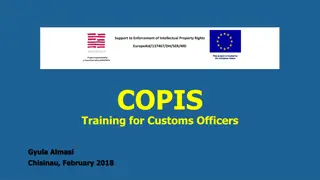 Overview of COPIS: Anti-Counterfeit System for Intellectual Property Rights in the European Union