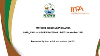 Matooke Breeding in Uganda: Annual Review Meeting Highlights