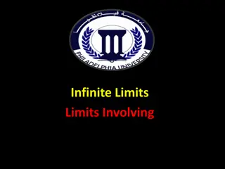 Understanding Infinite Limits in Calculus