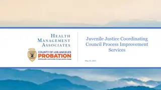 Juvenile Justice Council Process Improvement and Community Engagement