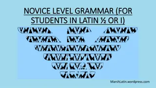Latin Grammar Basics for Students: Verbs, Tenses, Nouns, and More