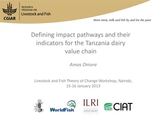 Dairy Value Chain Impact Pathways in Tanzania