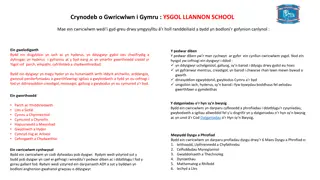 Ysgol Llannon School Curriculum in Wales - Vision for Holistic Education