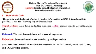 Understanding Genetic Code, Replication, Transcription, Translation, and Mutations