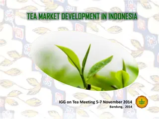 Indonesian Tea Market Trends and Statistics 2012-2014