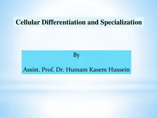Understanding Cell Differentiation and Specialization in Organisms