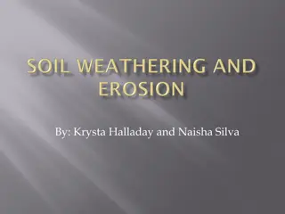 Understanding Soil Formation and Erosion Processes