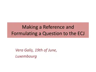 Guidelines for Making a Reference and Formulating Questions to the ECJ