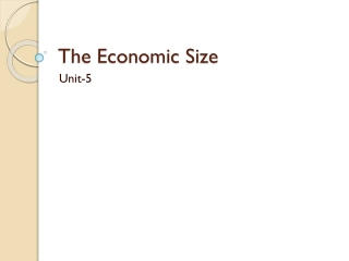 The Economic Size