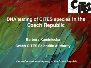 DNA Testing of CITES Species in Czech Republic: Breeding Trends and Conservation Practices