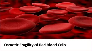 Understanding Osmotic Fragility of Red Blood Cells