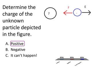 Understanding Electric Charges and Fields