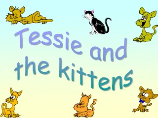 Help Tessie Find Her Naughty Kittens and Learn about Prepositions