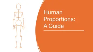 Mastering Human Proportions for Drawing