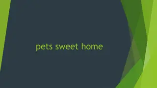 Luxury Pet Hotel in Amman - Your Pet's Home Away from Home