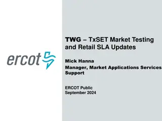 Texas SET Market Testing and Retail Updates 2024