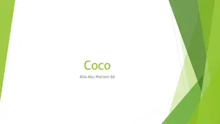 Heartwarming Adventure of Love and Family in Coco Movie Summary