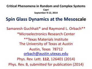 Spin Glass Dynamics in Random Systems: Mesoscale Insights