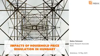 Household Energy Price Regulation in Hungary: Impacts and History