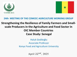 Strengthening Resilience of Family Farmers in Senegal through Agricultural Production Analysis