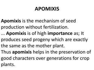 Importance of Apomixis in Plant Reproduction
