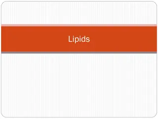 Understanding Lipids: Types, Roles, and Qualitative Tests